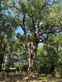Lot 340 Grand View Drive - Photo 21