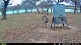 380 Pr 297 - Photo 39