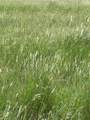 Lot 7 Chisholm Trail - Photo 3