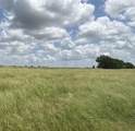 Lot 3 Old Patton Road - Photo 1