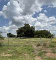 Lot 4 Old Patton Road - Photo 1