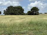 Tract 1 Patton Road - Photo 2