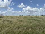 Tract 6 Patton Road - Photo 1