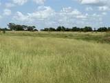 Tract 8 Patton Road - Photo 2