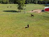 5989 Hwy. 259 - Photo 35