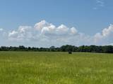 12675 County Road 2922 - Photo 3