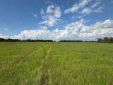 12675 County Road 2922 - Photo 5