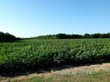 TBD Fm 744 - Photo 5