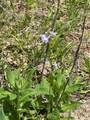 057 Blackjack Parkway - Photo 4
