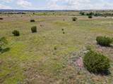 TBD County Road 619 - Photo 19