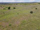 TBD County Road 619 - Photo 21