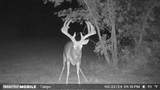 000 Fm-2383 - Photo 20