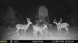 000 Fm-2383 - Photo 21