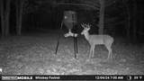 000 Fm-2383 - Photo 23