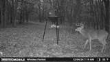000 Fm-2383 - Photo 24