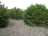 Lot 140 Ph 6 County Road 421 - Photo 10