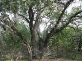 Lot 140 Ph 6 County Road 421 - Photo 11