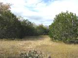 Lot 140 Ph 6 County Road 421 - Photo 20