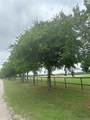 4611 Stout Road - Photo 10