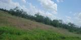 Lot 118 Palmito Rnch Road - Photo 6