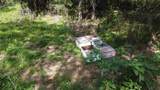 277 County Road 4461 - Photo 10