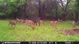 277 County Road 4461 - Photo 16