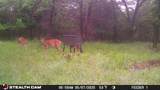 277 County Road 4461 - Photo 17