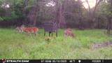 277 County Road 4461 - Photo 18