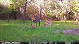 277 County Road 4461 - Photo 19