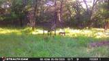 277 County Road 4461 - Photo 20