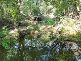 9551 County Road 534 - Photo 11