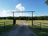 9551 County Road 534 - Photo 7