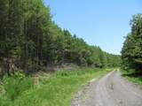 TBD Josee's Journey - Photo 4