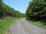 TBD Josee's Journey - Photo 5