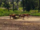 311 Martingale Trail - Photo 26