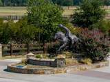 311 Martingale Trail - Photo 32