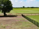 311 Martingale Trail - Photo 7