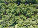 19C Coyote Springs Court - Photo 4