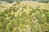TBD County Road 1061 - Photo 20