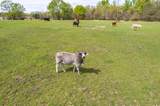 000 Oklahoma Street - Photo 13