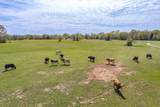 000 Oklahoma Street - Photo 19