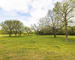 TBD County Road 160 - Photo 1