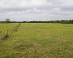 TBD County Road 160 - Photo 12