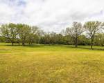 TBD County Road 160 - Photo 4