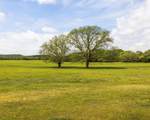 TBD County Road 160 - Photo 5