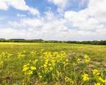 TBD County Road 160 - Photo 7
