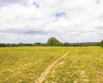 TBD County Road 160 - Photo 9
