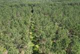 TBD County Road 3706 - Photo 12
