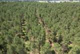 TBD County Road 3706 - Photo 14