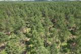 TBD County Road 3706 - Photo 9